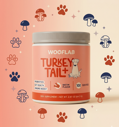 Turkey Tail+